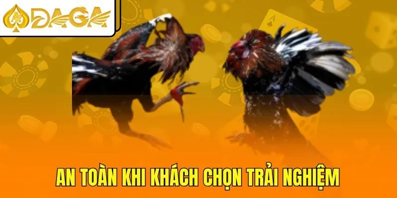 An toàn khi khách chọn trải nghiệm