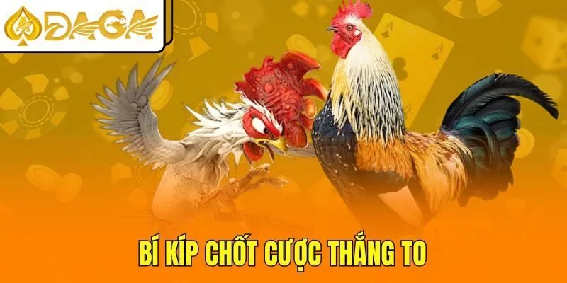 Bí kíp chốt cược thắng to