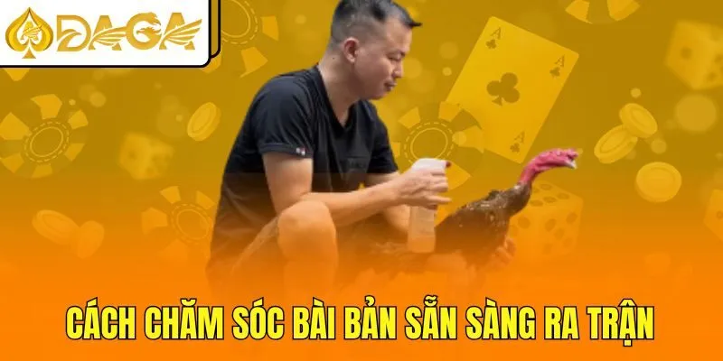 Cách chăm sóc bài bản sẵn sàng ra trận