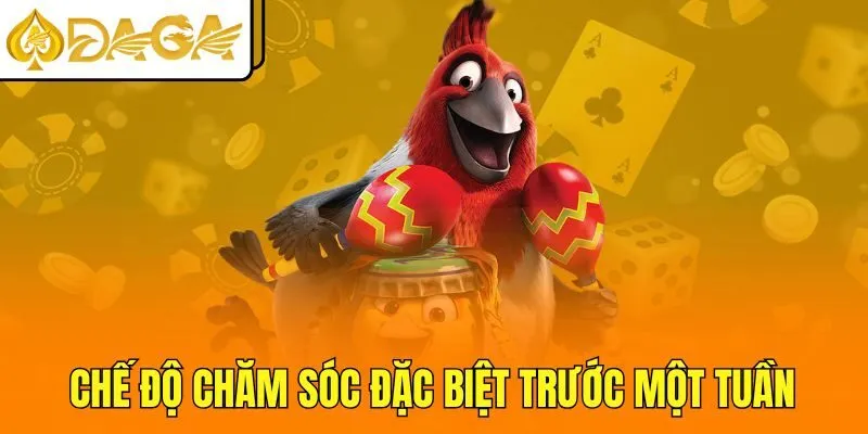 Chế độ chăm sóc đặc biệt trước một tuần