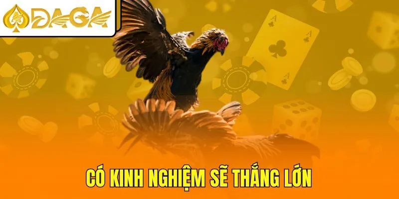 Có kinh nghiệm sẽ thắng lớn