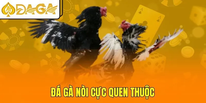 Đá gà nòi cực quen thuộc