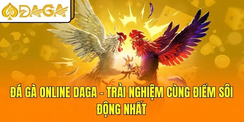 Đá Gà Online DAGA - Trải Nghiệm Cùng Điểm Sôi Động Nhất