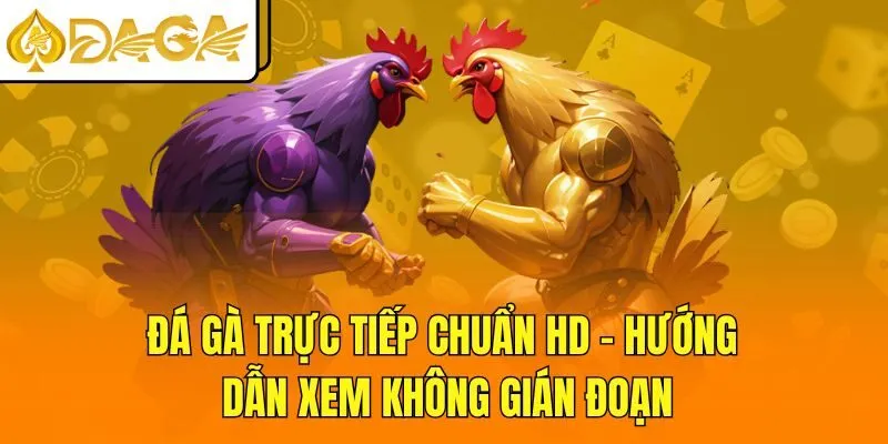 Đá gà trực tiếp chuẩn HD - Hướng dẫn xem không gián đoạn