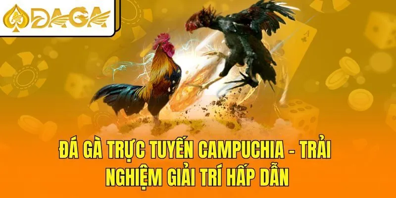 Đá Gà Trực Tuyến Campuchia – Trải Nghiệm Giải Trí Hấp Dẫn