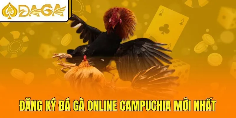 Đăng ký đá gà online Campuchia mới nhất
