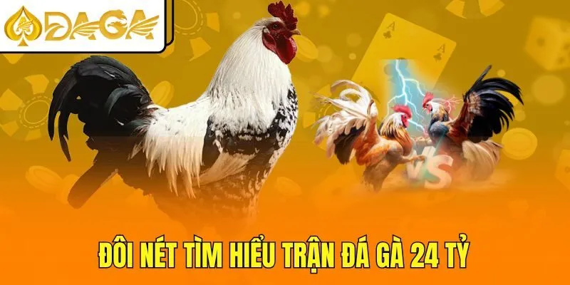 Đôi nét tìm hiểu trận đá gà 24 tỷ