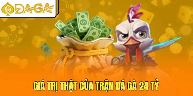 Giá trị thật của trận đá gà 24 tỷ