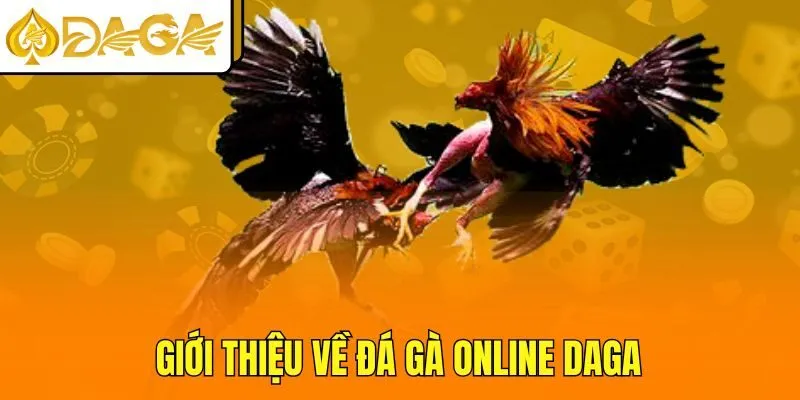 Giới thiệu về đá gà online DAGA