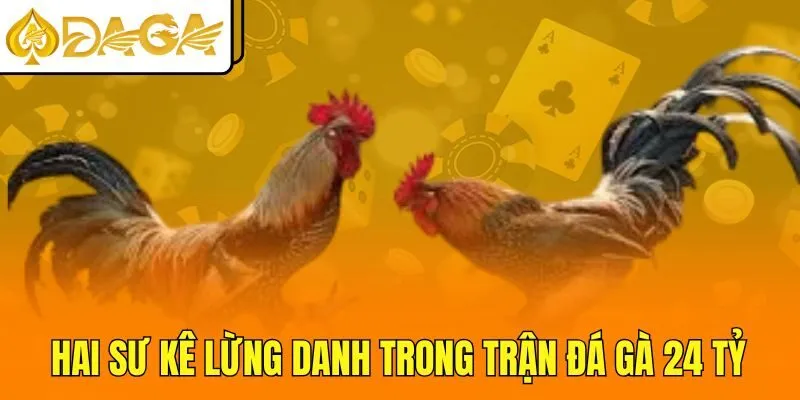 Hai sư kê lừng danh trong trận đá gà 24 tỷ