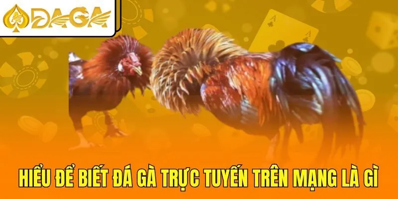 Hiểu để biết đá gà trực tuyến trên mạng là gì