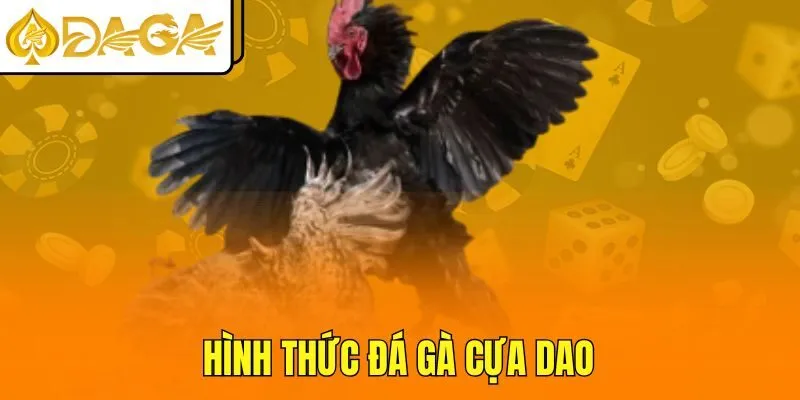 Hình thức đá gà cựa dao