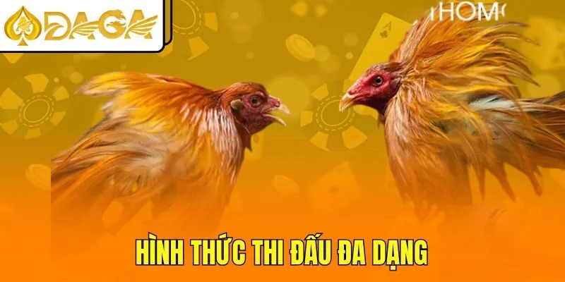 Hình thức thi đấu đa dạng