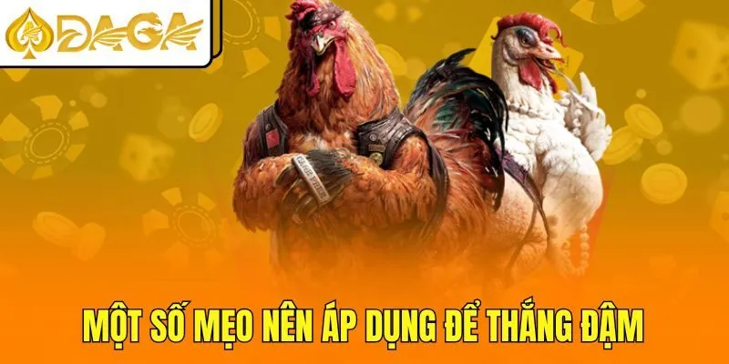 Một số mẹo nên áp dụng để thắng đậm