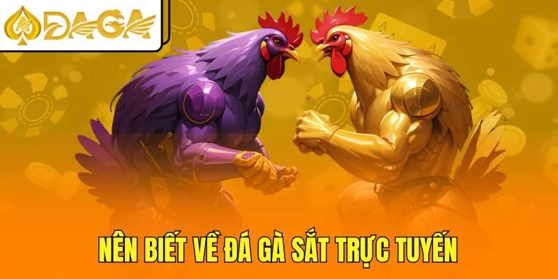 Nên biết về đá gà sắt trực tuyến