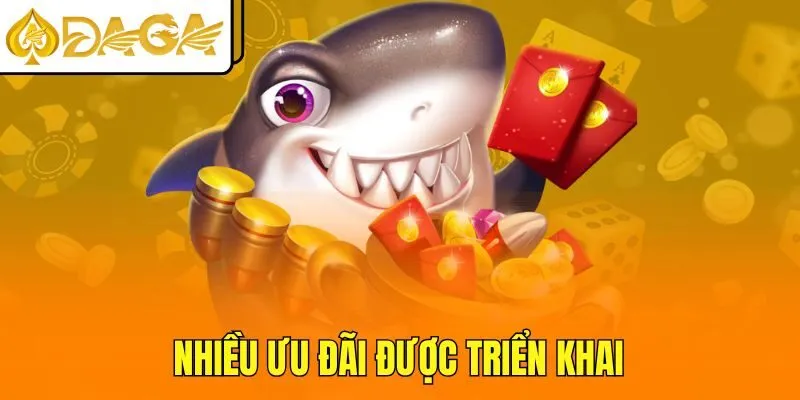 Nhiều ưu đãi được triển khai