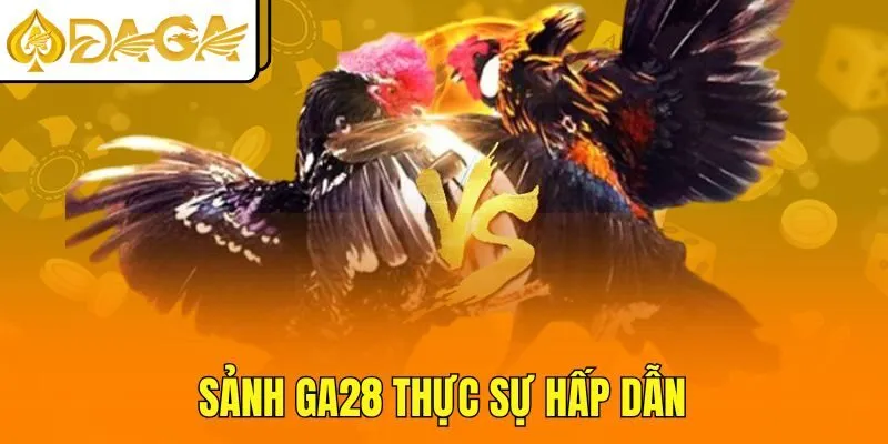 Sảnh GA28 thực sự hấp dẫn