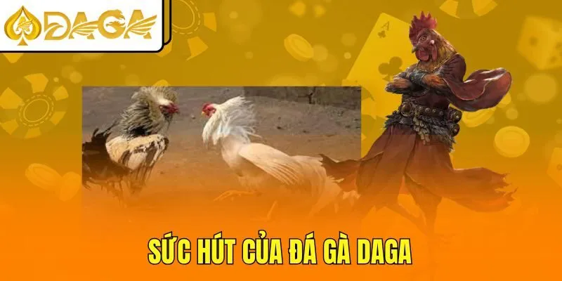 Sức hút của đá gà DAGA