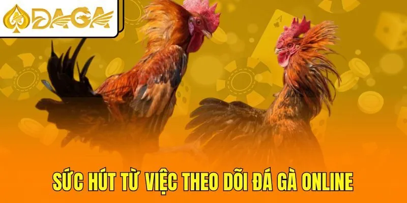 Sức hút từ việc theo dõi đá gà online