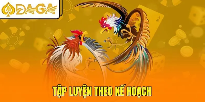 Tập luyện theo kế hoạch
