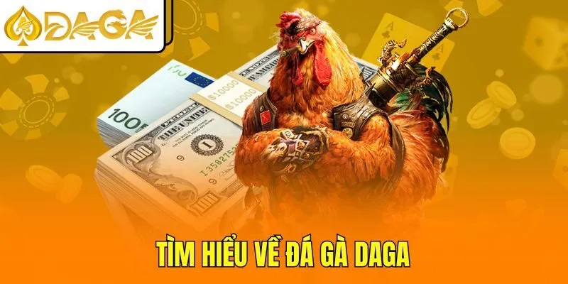 Tìm hiểu về đá gà DAGA