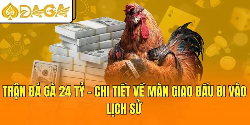 Trận Đá Gà 24 Tỷ - Chi Tiết Về Màn Giao Đấu Đi Vào Lịch Sử