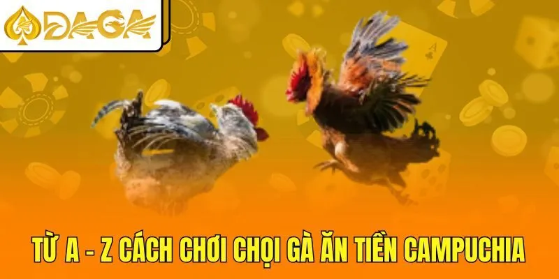 Từ A - Z cách chơi chọi gà ăn tiền Campuchia