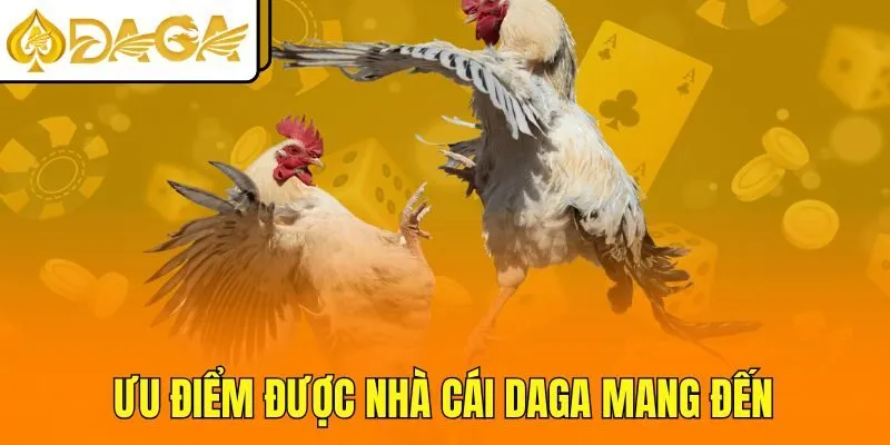Ưu điểm được nhà cái DAGA mang đến