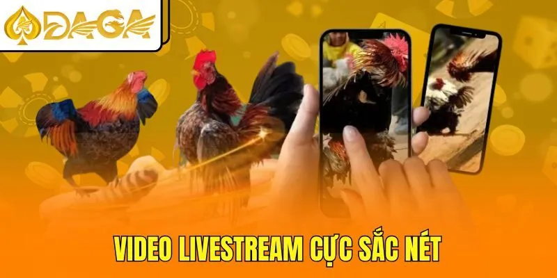 Video livestream cực sắc nét