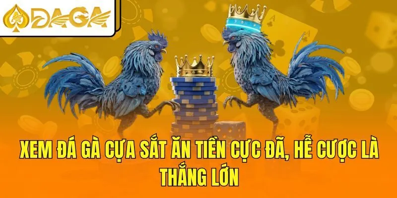 Xem Đá Gà Cựa Sắt Ăn Tiền Cực Đã, Hễ Cược Là Thắng Lớn